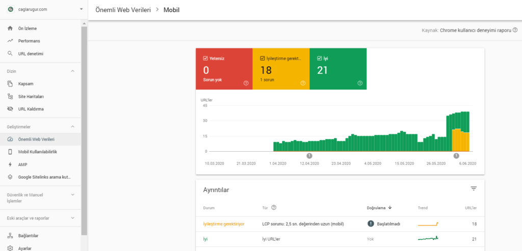 Önemli Web Verileri - Google Search Console - Mobil Raporu